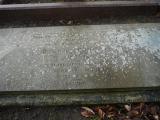 image of grave number 238063